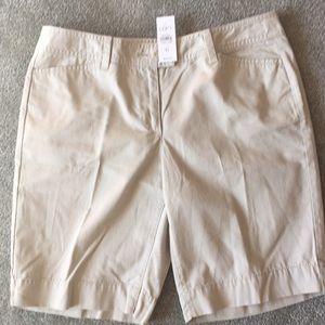 Ann Taylor Loft Shorts Curvy 6
